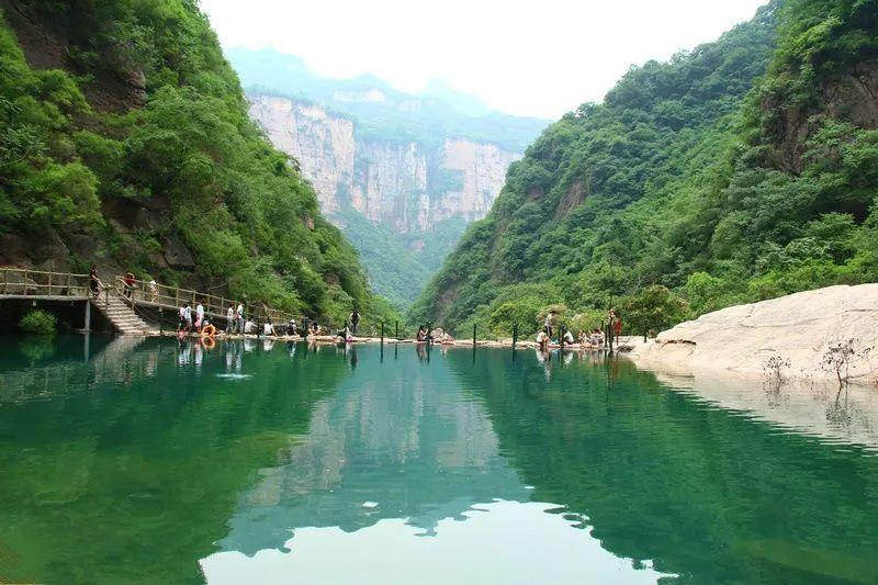寻找奈良树花